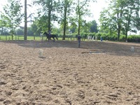 Le paddock