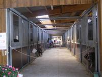 Les écuries chevaux et poneys