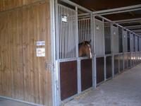 Les écuries poneys