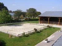 Paddocks et rond de longe, pour la détente des chevaux et poneys