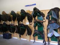 La sellerie poneys